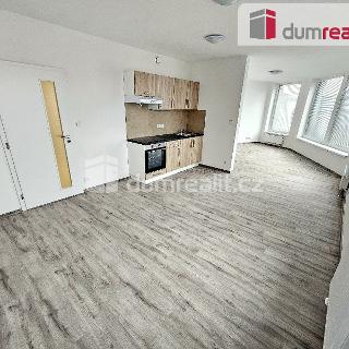 Pronájem bytu 2+kk 78 m² Plzeň, Rejskova