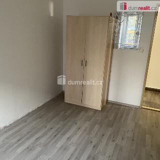 Pronájem bytu 1+kk a garsoniéry 17 m² Praha, Zenklova