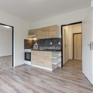 Pronájem bytu 1+1 38 m² Ústí nad Labem, Purkyňova