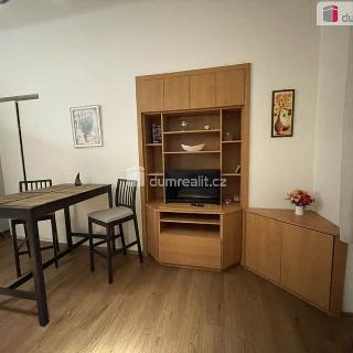 Pronájem bytu 2+kk 35 m² Praha, Vodičkova