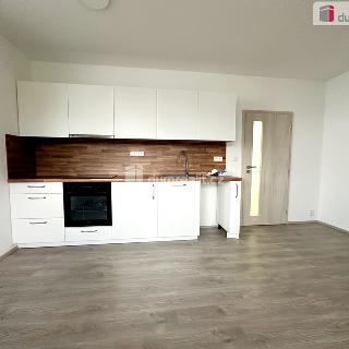 Pronájem bytu 2+kk 50 m² Lovosice