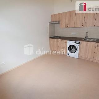 Pronájem bytu 1+1 38 m² Praha, Radlická