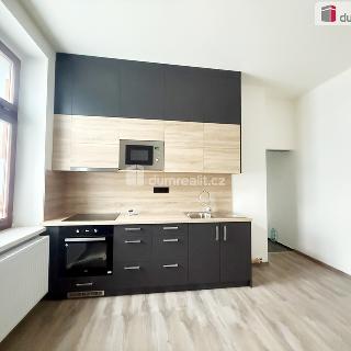 Pronájem bytu 2+1 58 m² Děčín, Kamenická