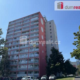 Pronájem bytu 1+1 38 m² Most, Rozmarýnová