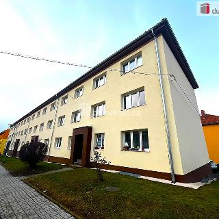 Prodej bytu 2+1 51 m² Březová, Hlavní