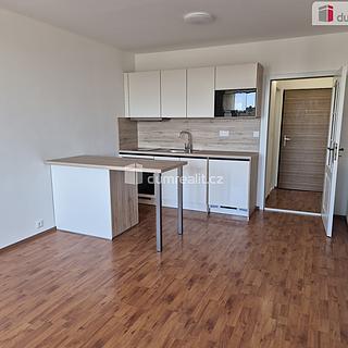 Pronájem bytu 1+kk, garsoniery 24 m&sup2; České Budějovice