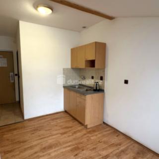 Pronájem bytu 1+kk, garsoniery 18 m² Suchdol