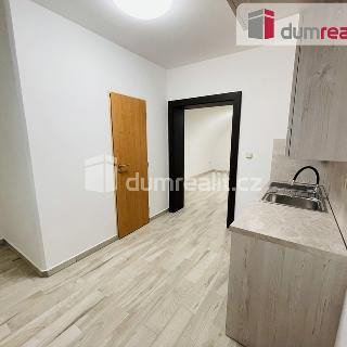 Pronájem bytu 1+1 30 m² Mikulov, Zámecká