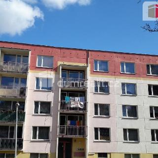 Pronájem bytu 1+kk a garsoniéry 24 m² Děčín, Želenická