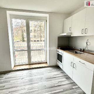 Pronájem bytu 2+kk 48 m² Ústí nad Labem, Purkyňova