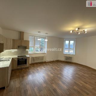 Pronájem bytu 2+kk 45 m² Vítkov, Švermova