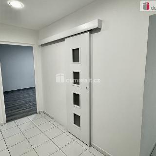 Pronájem bytu 2+1 60 m² Ústí nad Labem, Oblá