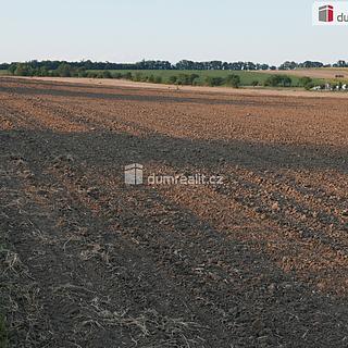 Prodej zemědělské půdy 4864 m&sup2; Vinařice
