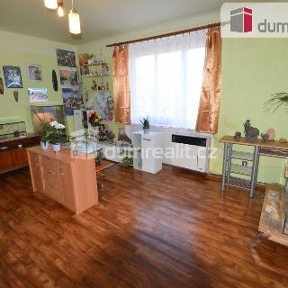 Prodej bytu 2+1 57 m² Lovosice, Wolkerova