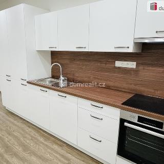 Pronájem bytu 2+kk 49 m² Brno, Táborská