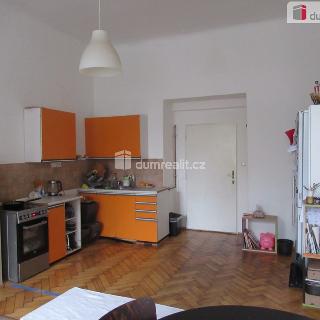 Pronájem bytu 1+1 54 m² Praha, Pod kaštany