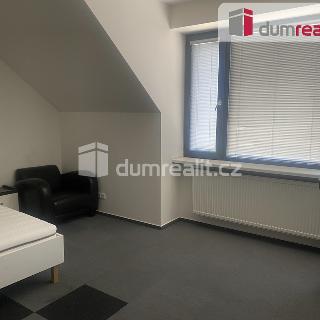 Pronájem bytu 1+kk a garsoniéry 16 m² Praha, Pilská