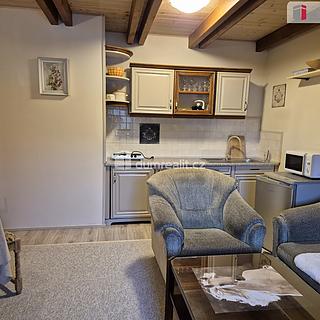 Pronájem bytu 2+1 60 m&sup2; Kamenný Újezd