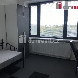 Pronájem bytu 1+kk a garsoniéry 15 m² Praha, Pilská