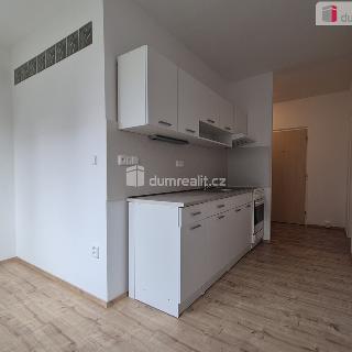 Pronájem bytu 2+1 60 m² Netolice, 9. května