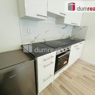 Pronájem bytu 1+kk a garsoniéry 22 m² Praha, Na Skalce