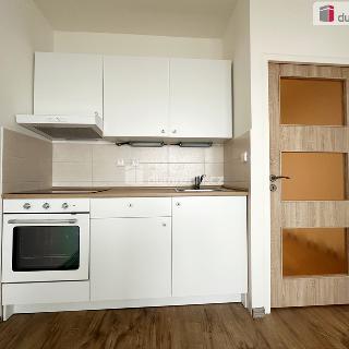 Prodej bytu 1+kk a garsoniéry 24 m² Praha, Nad lesním divadlem