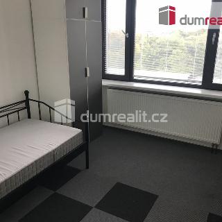 Pronájem bytu 1+kk a garsoniéry 15 m² Praha, Pilská