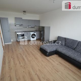 Pronájem bytu 2+kk 40 m² Praha, Olštýnská