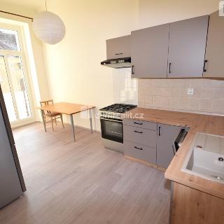 Pronájem bytu 1+1 60 m² Praha, Polská