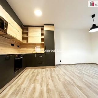 Pronájem bytu 2+kk 73 m² Děčín, Zámecká