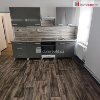 Pronájem bytu 1+1 53 m² Benešov nad Ploučnicí, Děčínská