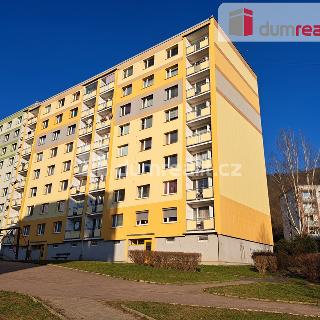 Pronájem bytu 1+1 36 m² Ústí nad Labem, Peškova