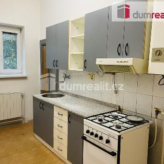 Pronájem bytu 2+1 59 m² Hodonín, Janáčkova