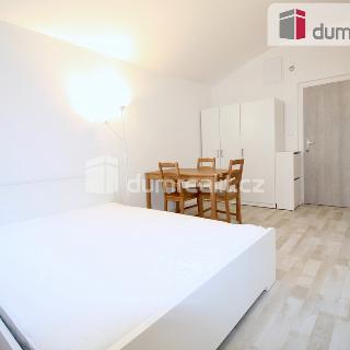 Pronájem bytu 1+kk a garsoniéry 25 m² Praha, Svornosti