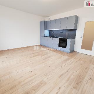 Pronájem bytu 1+kk a garsoniéry 36 m² Praha, Sedlářova