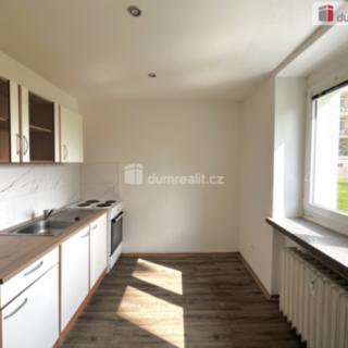Pronájem bytu 1+1 30 m² Lom Loučná, Novostavby