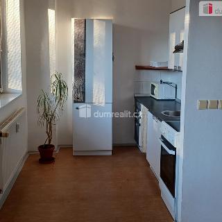 Pronájem bytu 1+kk a garsoniéry 29 m² Suchdol nad Lužnicí, sídl. Na Pražské