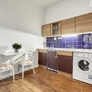 Prodej bytu 1+kk a garsoniéry 21 m² Ústí nad Labem, Emy Destinové