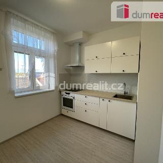 Pronájem bytu 2+1 53 m² Břeclav, Riegrova