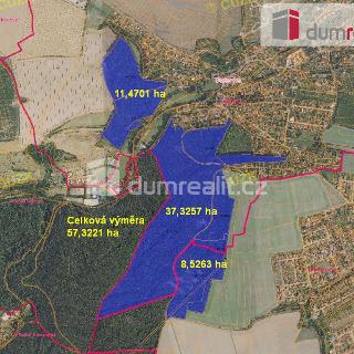 Prodej lesa 573 221 m² Statenice, Statenice