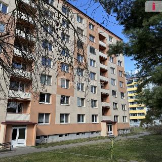 Pronájem bytu 3+1 75 m² Uherské Hradiště, Na Rybníku