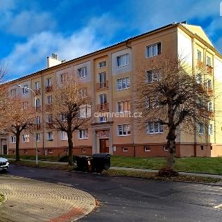 Pronájem bytu 2+1 65 m² Ostrov, S. K. Neumanna