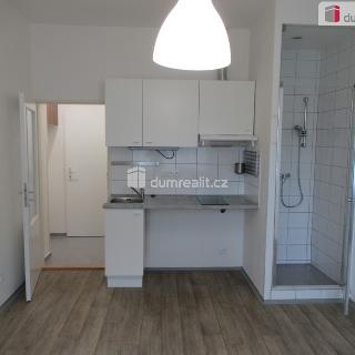 Pronájem bytu 1+kk a garsoniéry 19 m² Praha, Týmlova