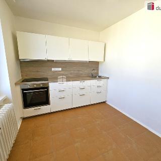 Pronájem bytu 2+1 52 m² Teplice, Americká