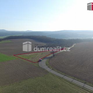 Prodej louky 3 943 m² Sýkořice, Sýkořice