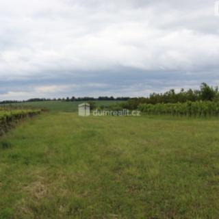 Prodej zahrady 4 880 m² Valtice, Lipová