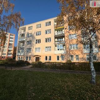 Pronájem bytu 2+1 58 m² Chomutov, Cihlářská