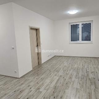 Pronájem bytu 2+kk 52 m² Kralupy nad Vltavou, Souběžná