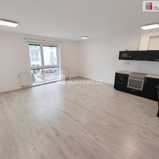 Pronájem bytu 1+kk a garsoniéry 47 m² Jesenice, Cedrová