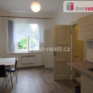 Pronájem bytu 2+kk 55 m² Praha, Bezová